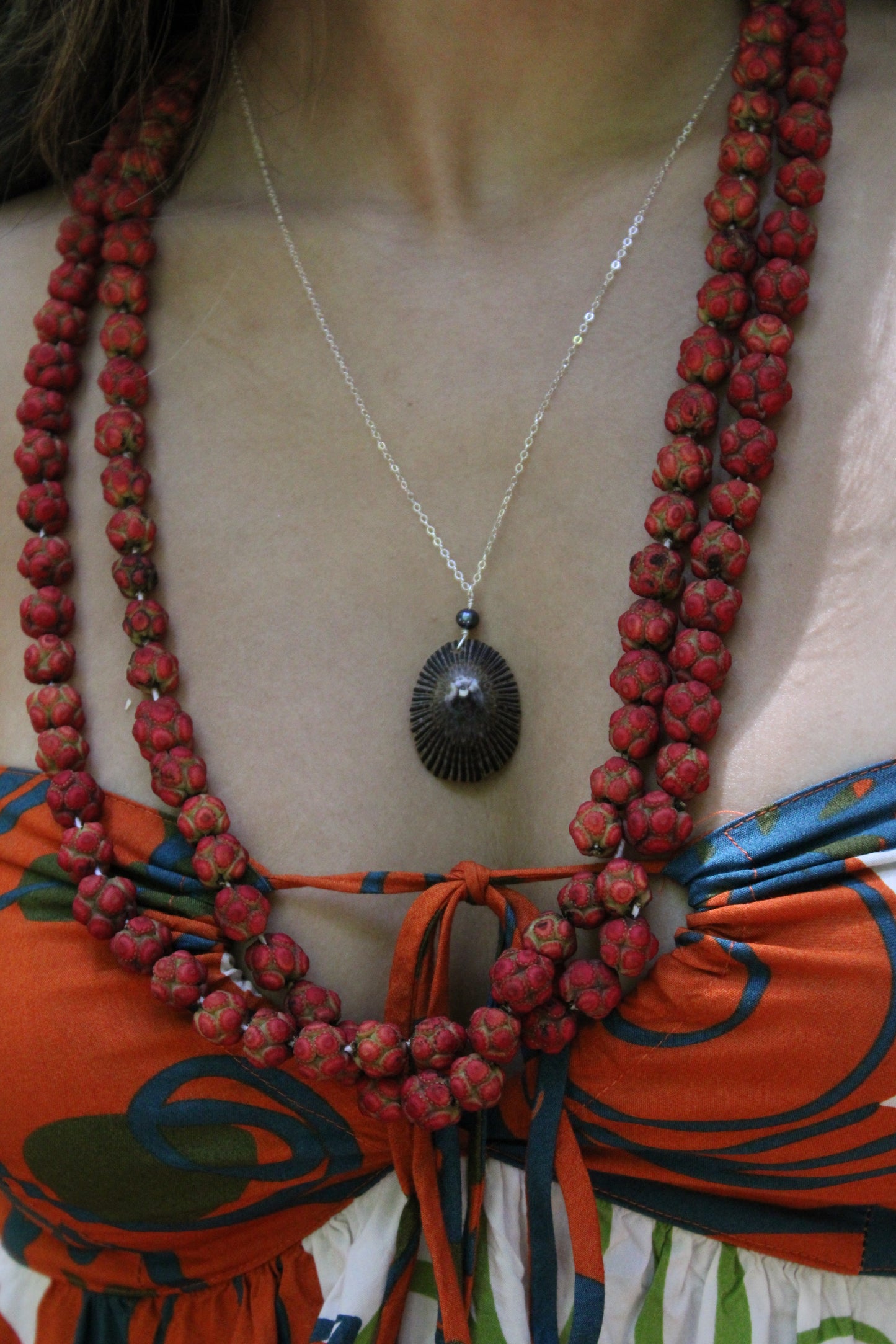 Moloka'i 'opihi chain